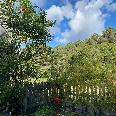 Πανσιόν Mountain Corse Odyssee Quenza