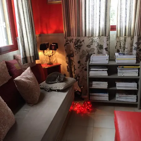 Mountain Corse Odyssee Quenza