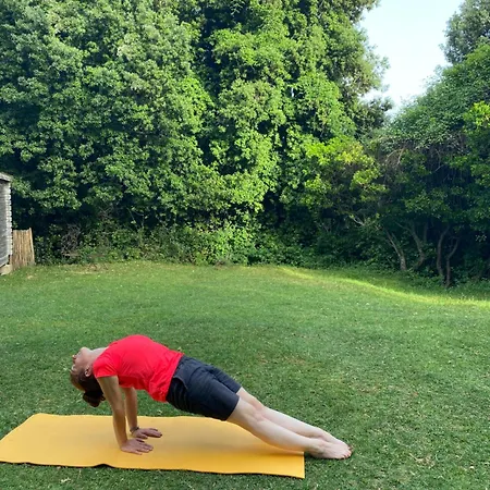 Pensionat Mountain Corse Odyssee Quenza