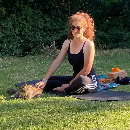 Mountain Corse Odyssee *