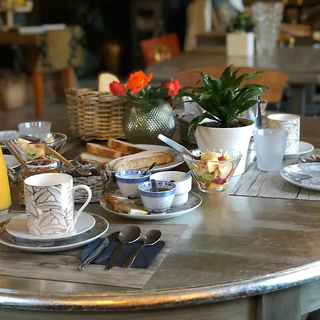 Mountain Corse Odyssee *