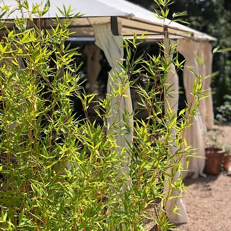 Mountain Corse Odyssee Πανσιόν