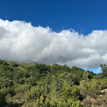 Mountain Corse Odyssee *