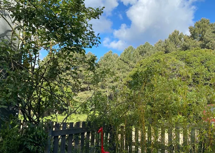 Pensjonat Mountain Corse Odyssee Quenza