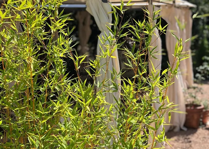 Mountain Corse Odyssee Pensjonat