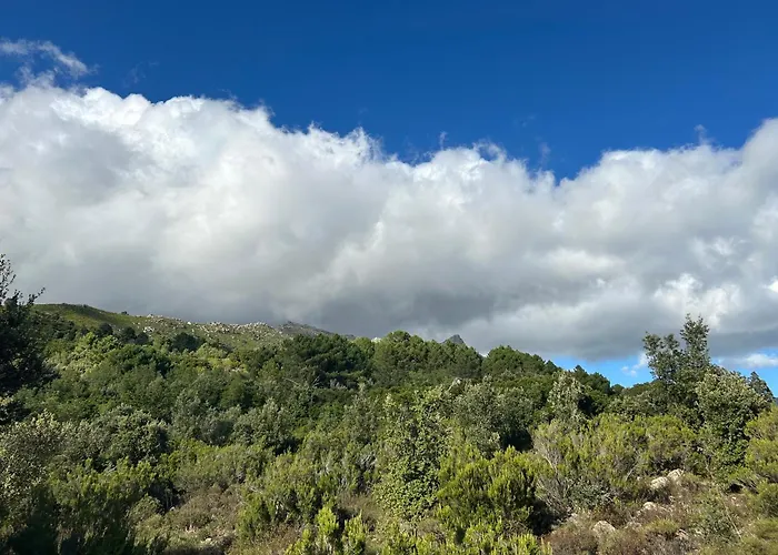 Mountain Corse Odyssee *