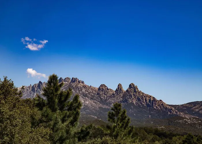 Mountain Corse Odyssee Quenza
